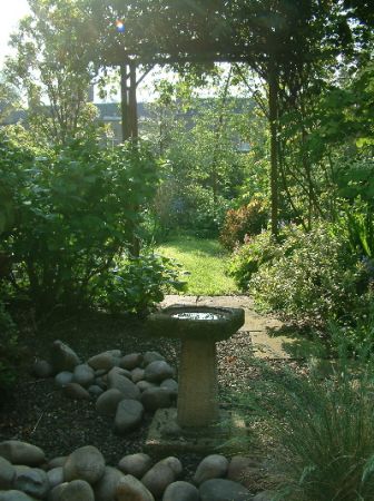backgarden 2 1